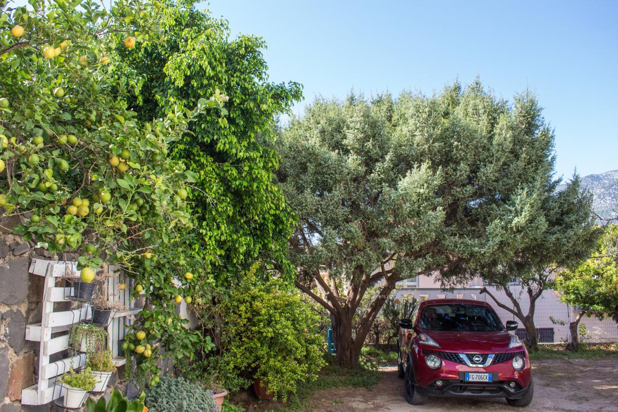Residenze Branca III Seaview Daire Orosei Dış mekan fotoğraf